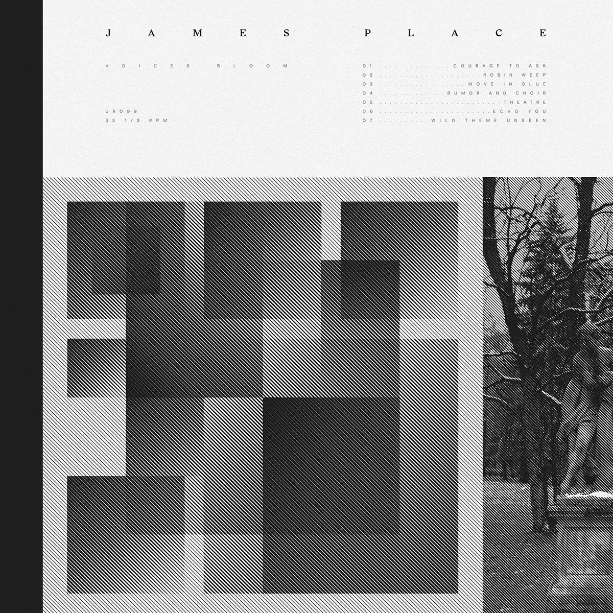 James Place – Voices Bloom