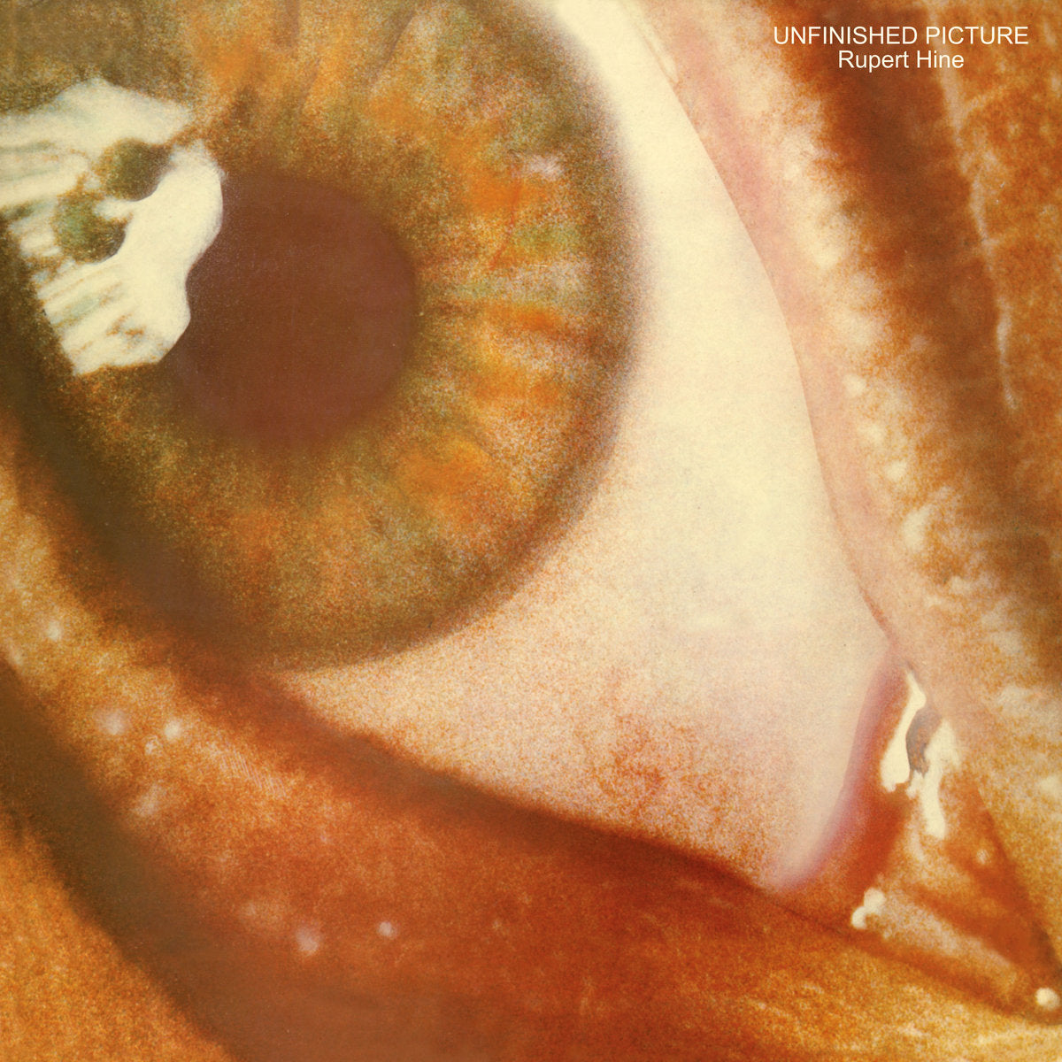 Rupert Hine – Unfinished Picture