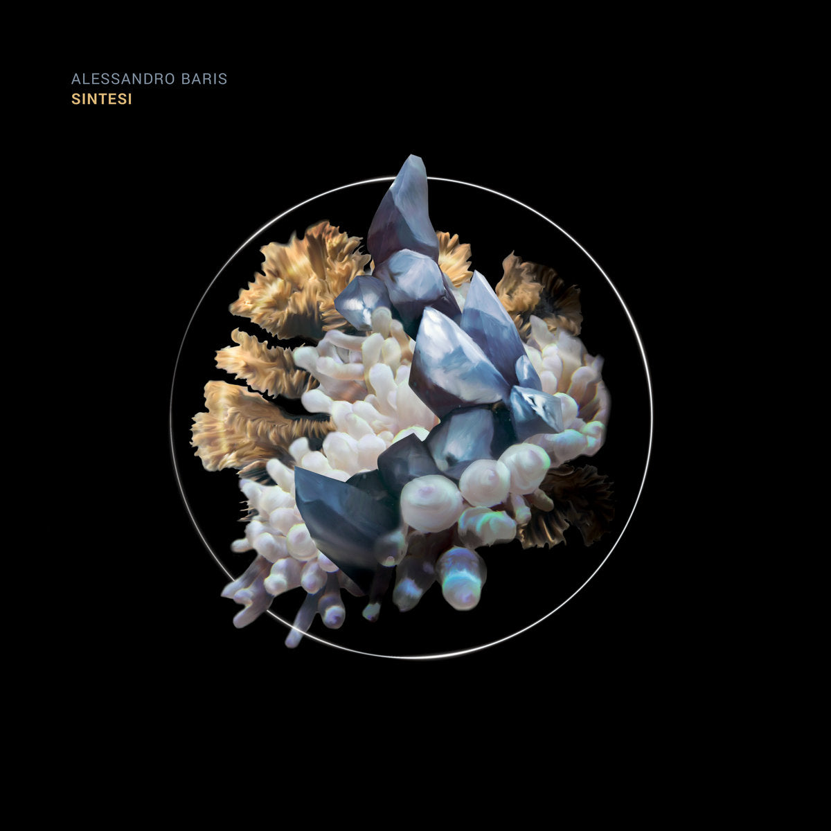 Alessandro Baris - Sintesi